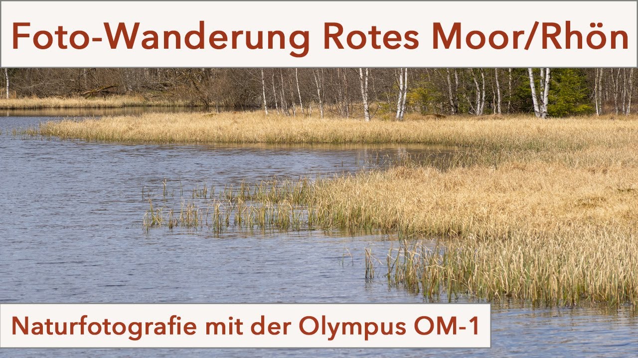 Eine kurze Foto-Wanderung im Roten Moor / Rhön(D)... meditative Naturfotografie mit der Olympus OM-1