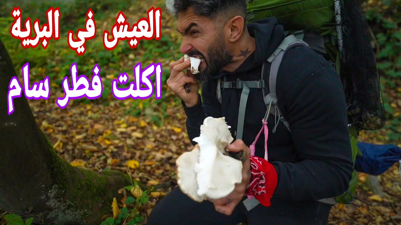 العيش في البرية اكلت فطر 🍄 سام  عراقي دايح في غابات أوربا