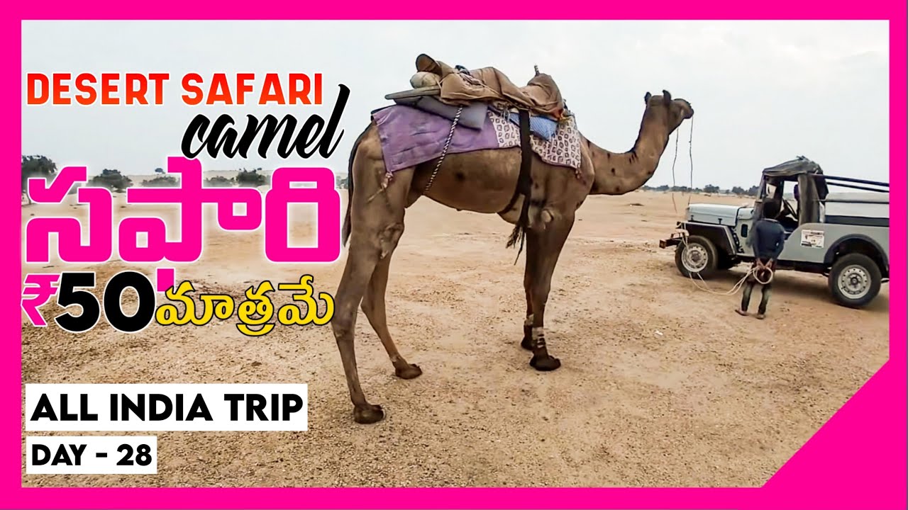 Desert Safari and Camel Ride | Day -  28 | All India Trip in 200 Days |
