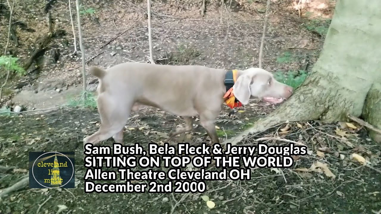 Sam Bush, Bela Fleck + Jerry Douglas - Sitting On Top Of The World  - Cleveland OH 12/2/00