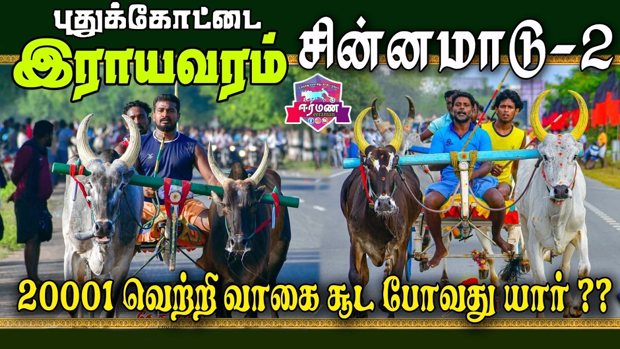 🔴LIVE(நேரலை) | இராயவரம் | புதுக்கோட்டை மாவட்டம் | சின்னமாடு 2 | பந்தயம்