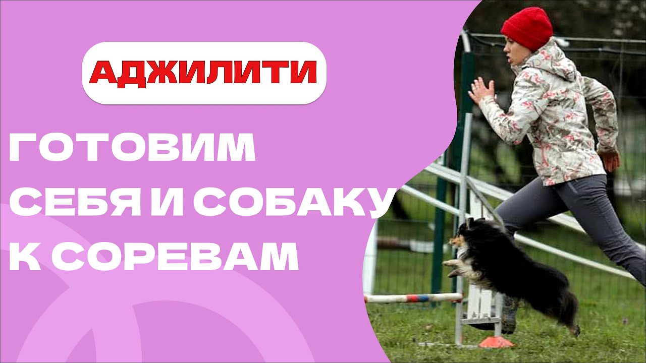 АДЖИЛИТИ: идеальная подготовка до, во время и после соревнований adjility