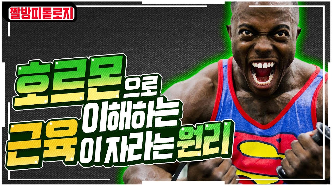 호르몬으로 이해하는 근육이 자라는 원리 총정리
