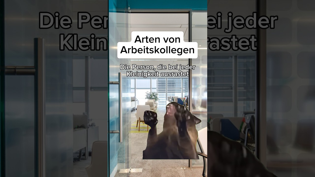 Jeder kennt diese Arten von Arbeitskollegen😂🙈 #kollegen #arbeit #katzen #katzenvideos #fds #fd