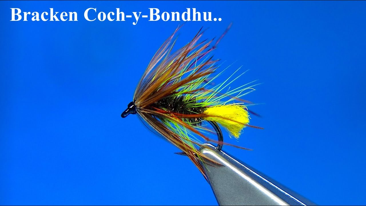 Вязание мокрой мушки Bracken Coch-y-Bonddu с Дэйви Макфейлом