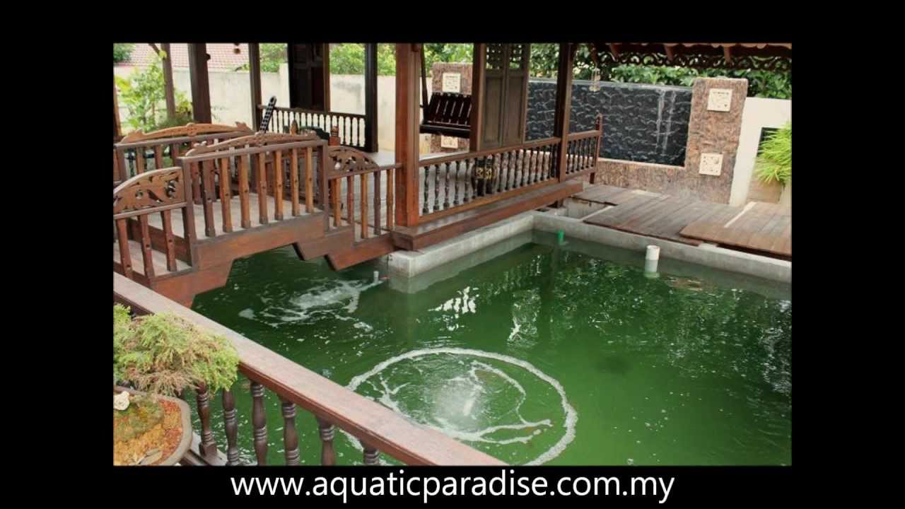 Koi & Pond Specialist