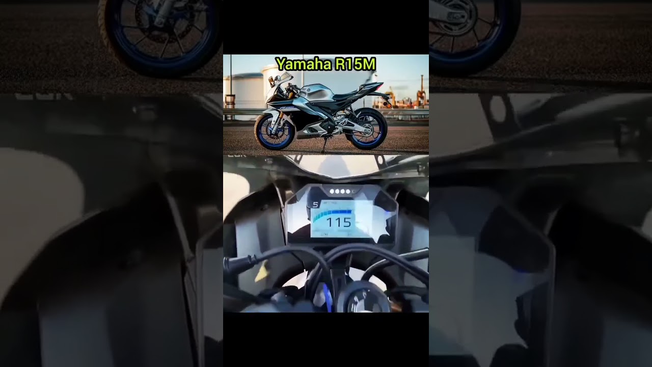 2023 Yamaha R15M Top Speed🏎️💨 @LDH_Bikervlogs #viral #r15m #yamaha #treding #shorts #youtube