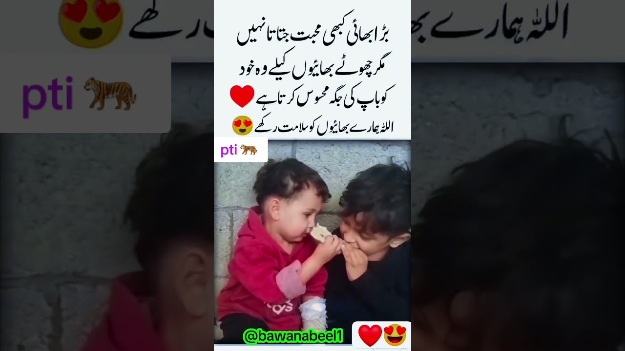 @pti 🐅 #pti.qadi804 #pti_zindabad 🔥 &hearts;️ ❤️ 😍 💖