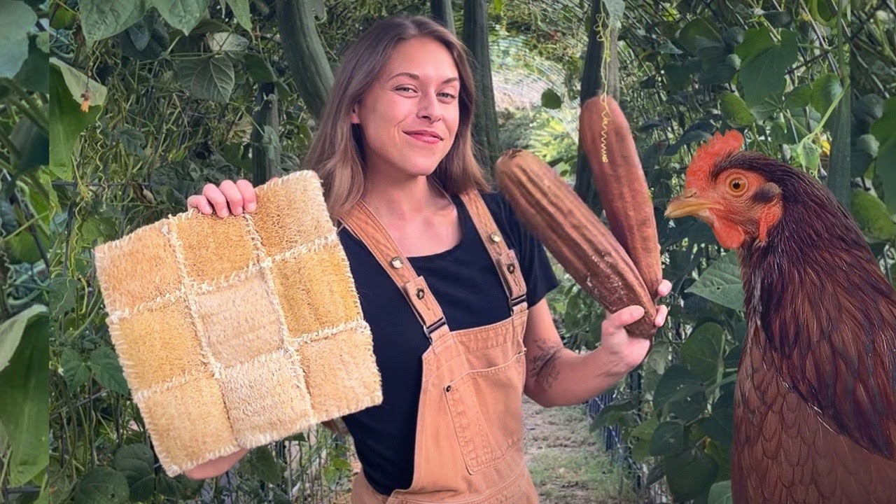 Today I Made A Nesting Pad For My Chickens Out Of Luffa Grown In My Backyard! Spend The Day With Me!