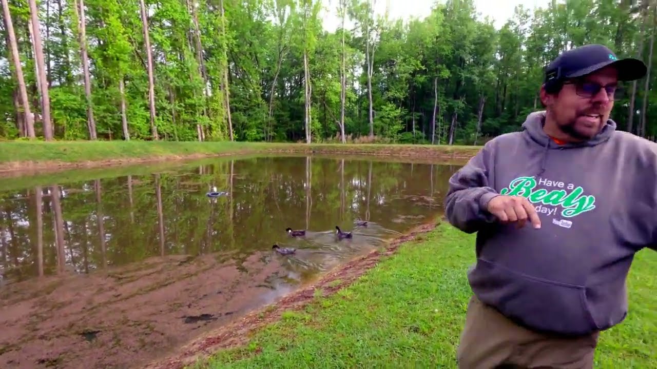 Trying something new to clean up the 5 acre pond