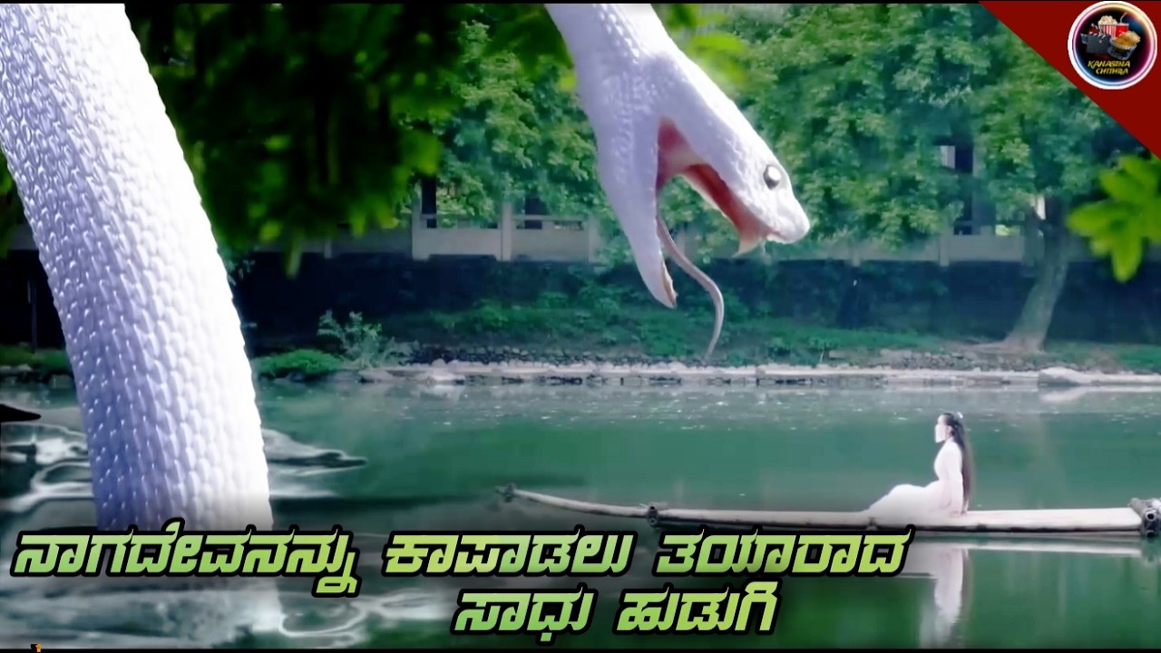 ಹೊಸ ಮೂವಿ - ಪಿಶಾಚಿಯನ್ನು ಕೊಲ್ಲುವುದಕ್ಕೆ ಸಾಧು ಹುಡುಗಿಗೆ ಸಾಧ್ಯವೇ ..? dubbed kannada movie story explained