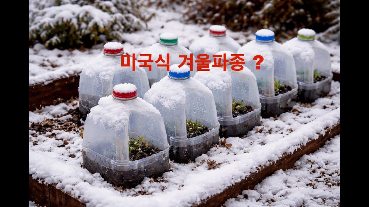 겨울 파종이란? 봄을 준비하는 가장 쉬운 방법