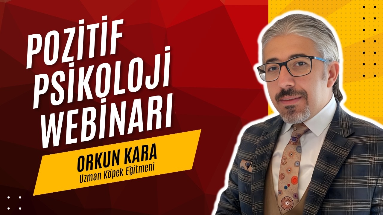 POZİTİF PSİKOLOJİ WEBİNARI