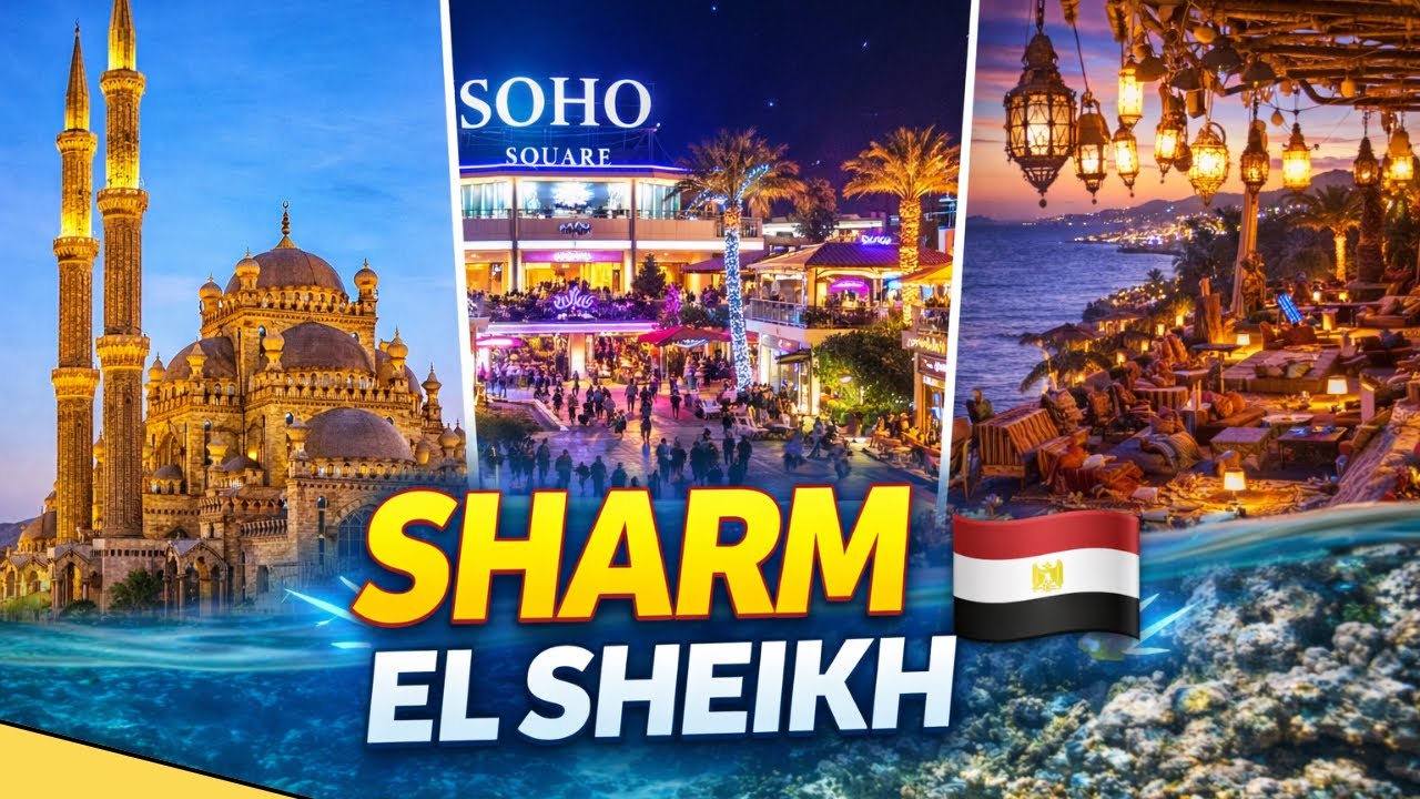 PLUSY I MINUSY NASZEGO HOTELU! SUPER WYCIECZKA DO SHARM EL SHEIKH!