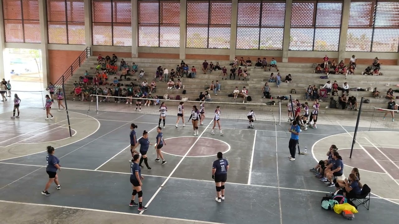 Tapatias PV 3ra vs Terraza Tequila Torneo La Lija 3/3