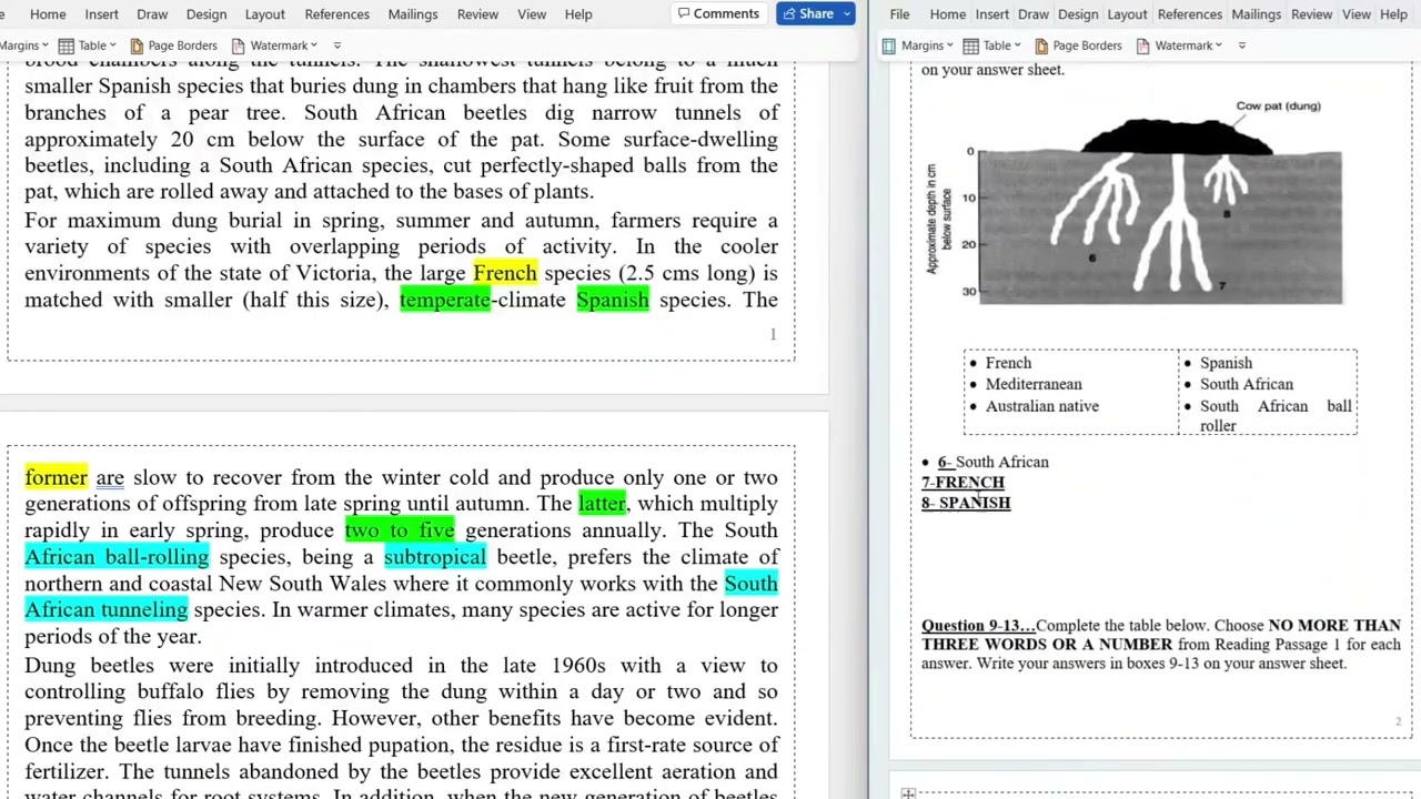 #ielts #reading  a remarkable beetle #ehjagraon R3 C3R2
