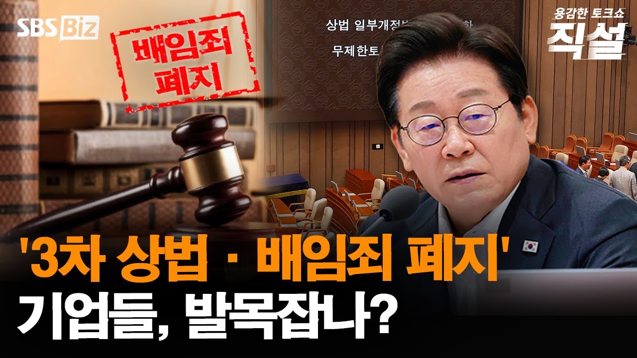 [직설] 배임죄 폐지 둘러싼 찬반 팽팽…균형점 찾을 수 있을까?