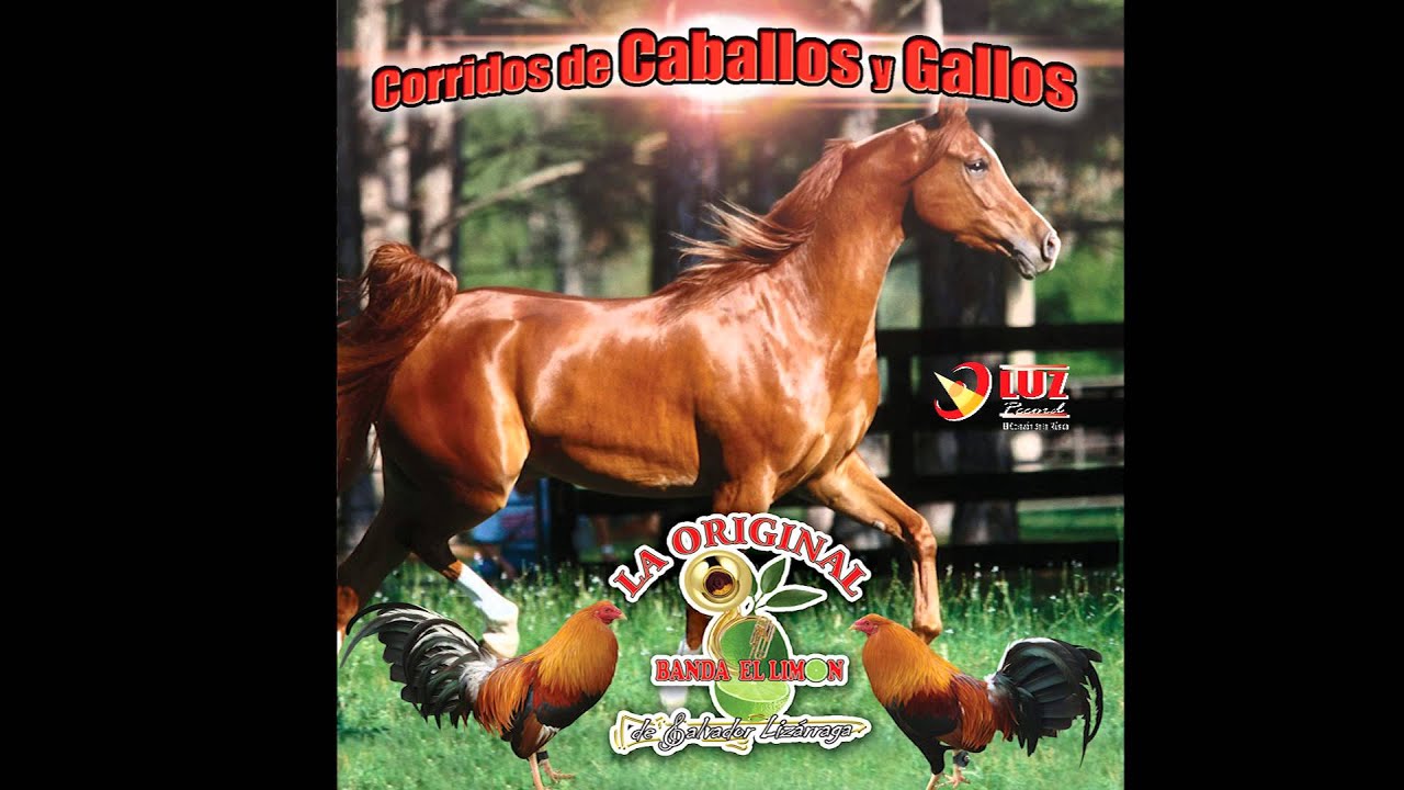 Sangre Caliente / Original Banda El Limón de Salvador Lizarraga