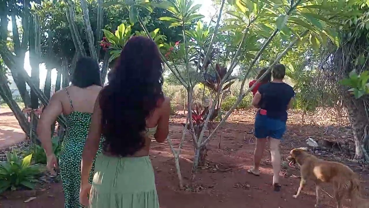 UMA TARDE DE LAZER NA CHÁCARA DO SENHOR Agimiro