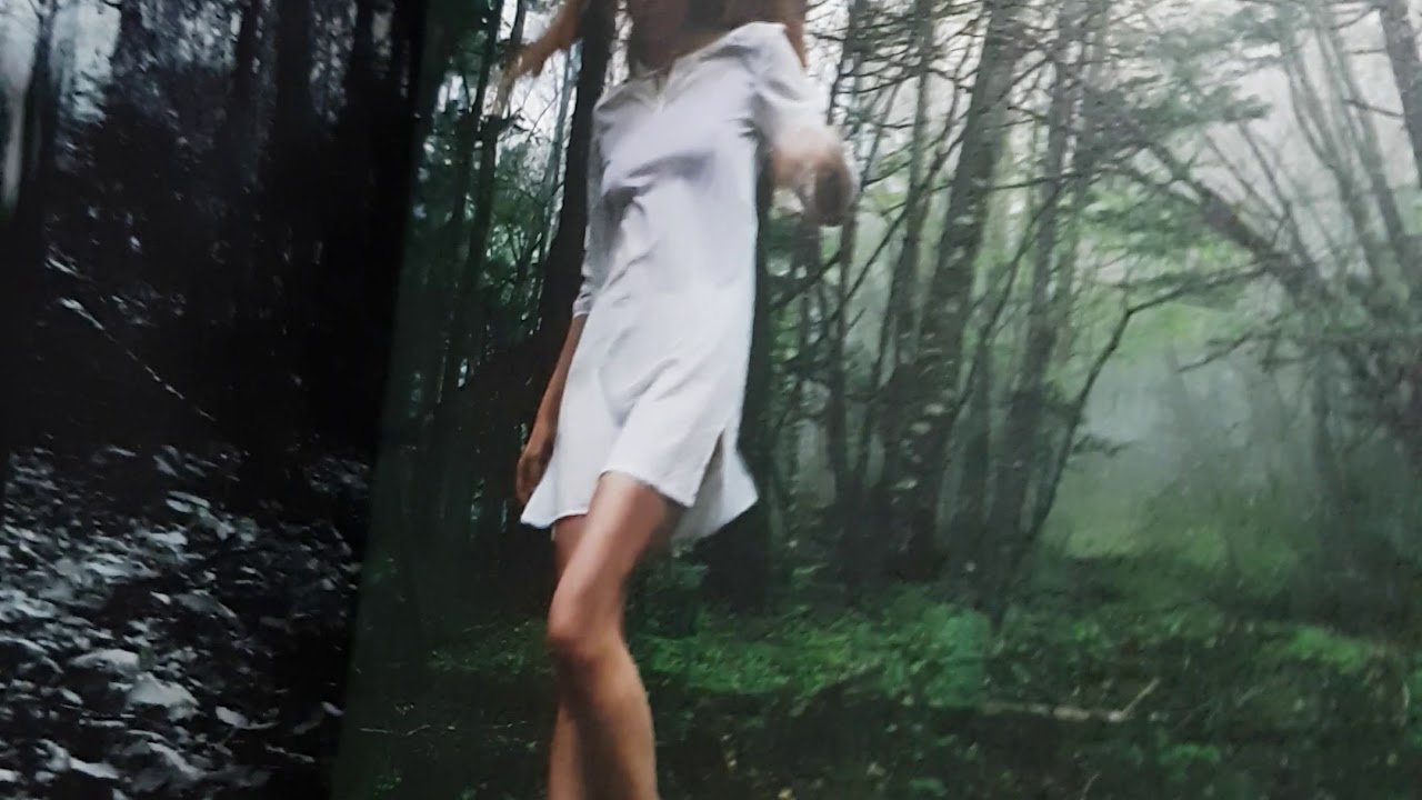Dir en grey Unboxing GAUZE 1st Press Limited Edition
