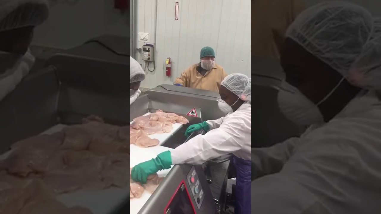 Fresh chicken diced on TREIF's TWISTER