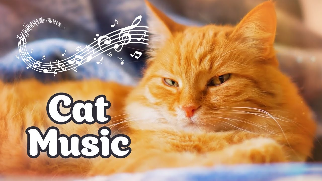 😻 Soothing Music for Cats ♬ Music for Kittens to Sleep / Stress Relief, Anxiety Relief