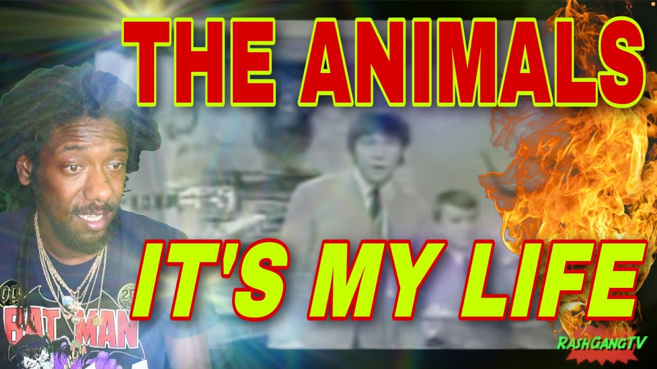 FIRST TIME HEARING The Animals - It's My Life REACTION 