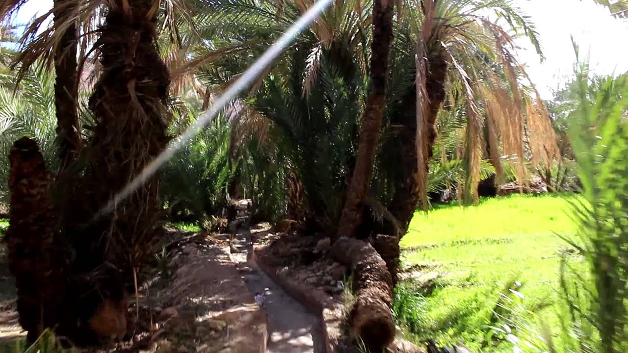 Most Beautiful Oasis (Anamer Smougen) Morocco - جمال واحة انامر سموكن