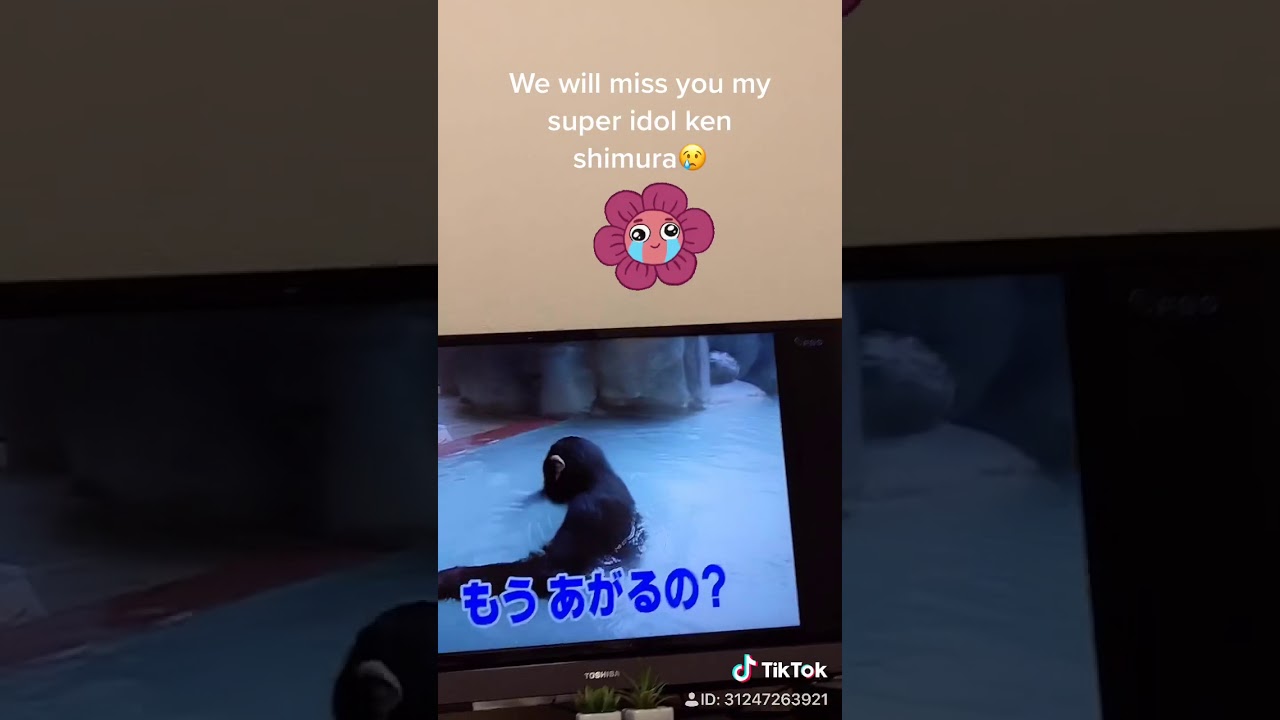 Shimura Ken farewell song