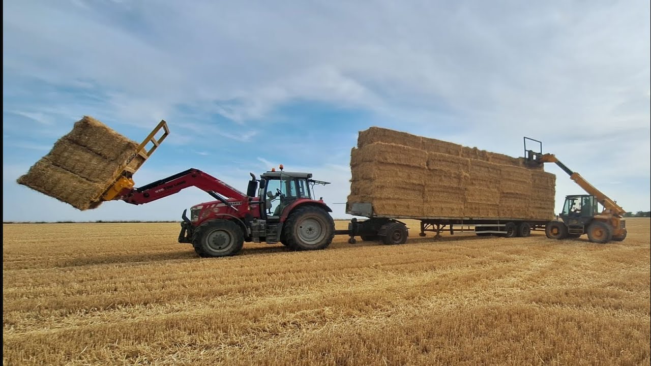 Harvesting and bales more repairs (attacked by bees!!!!) with some sunshine and rain