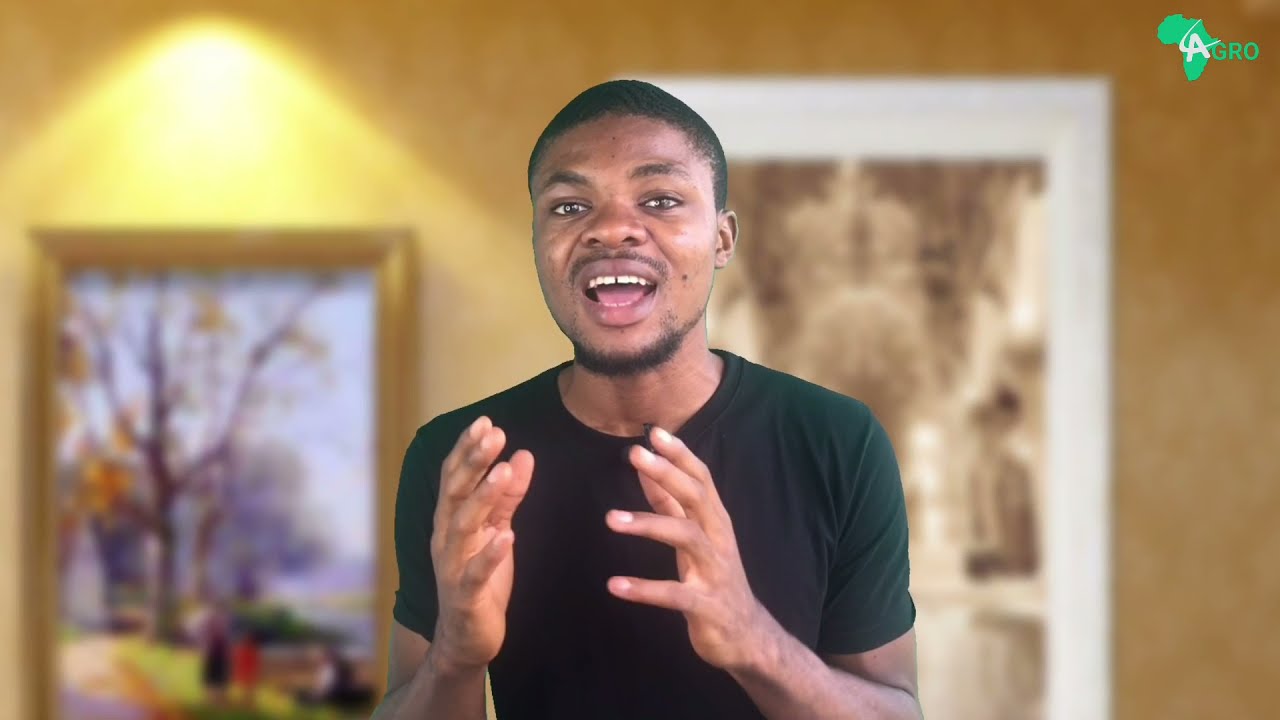9 Skills Every Farmer Need to Run a Successful Agribusiness