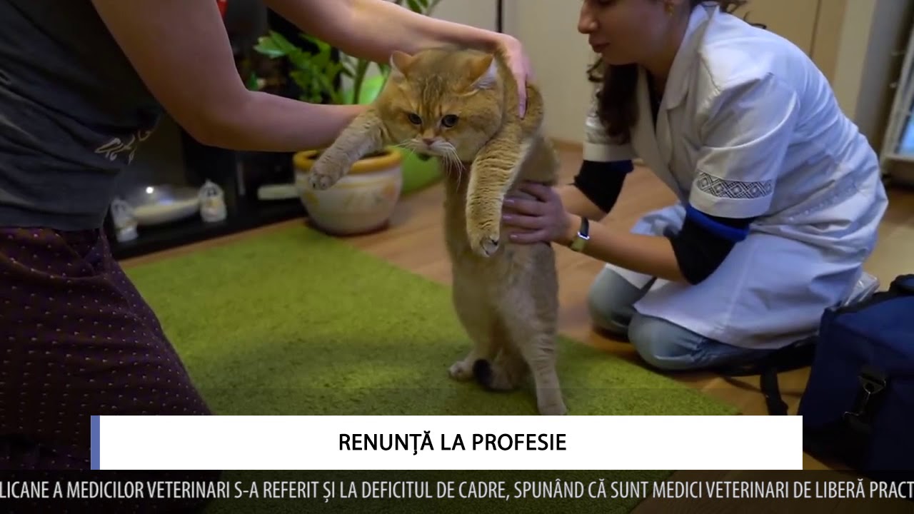 RENUNȚĂ LA PROFESIE