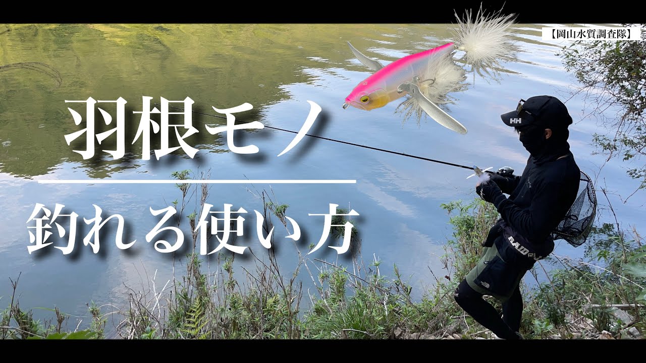 【実釣×解説】バス釣りでおすすめ『羽根モノ』の釣れる使い方、動かし方、チューニング方法などを解説しているとデカバスが釣れてしまいました。　レイドジャパン　ダッジ　トップウォーター