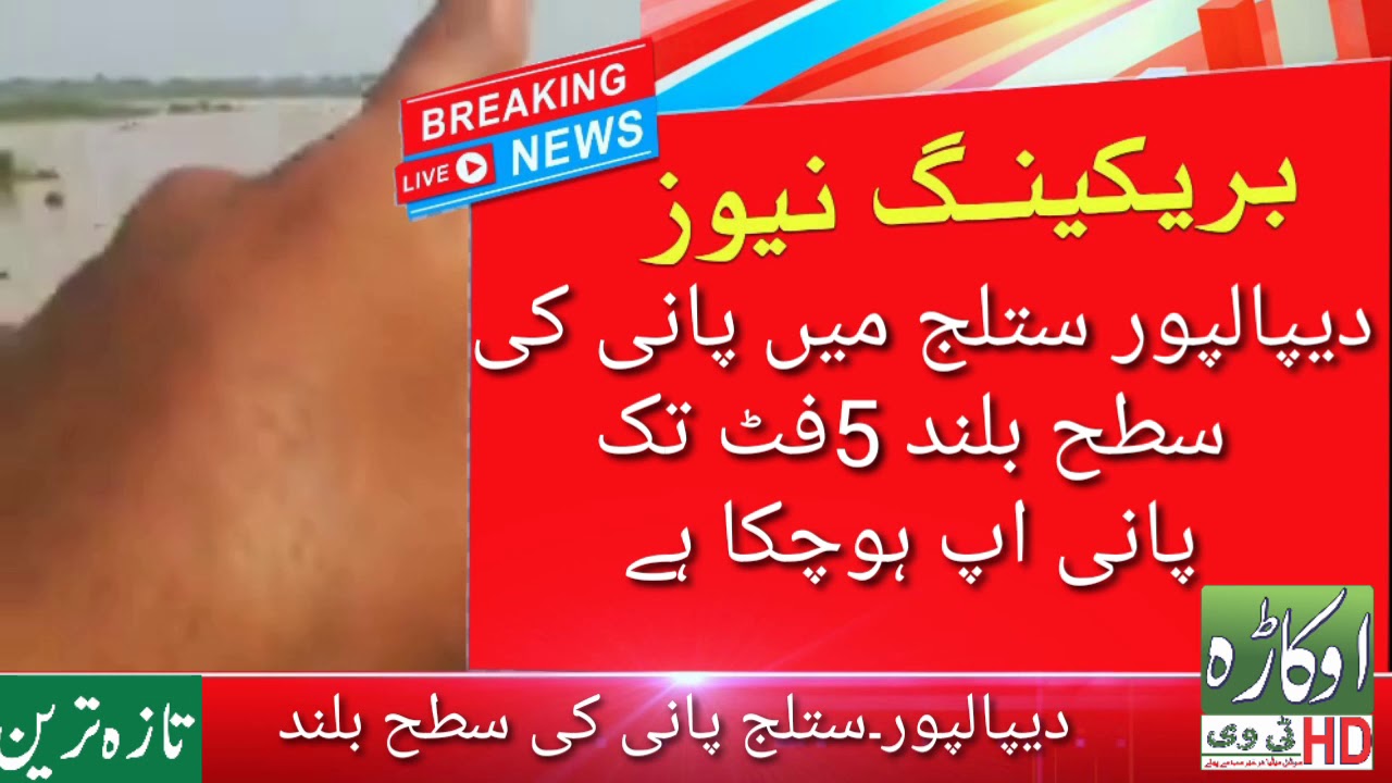Satluj flood 2019|Flood in satluj river 2019 |head sulemanki flood satuation