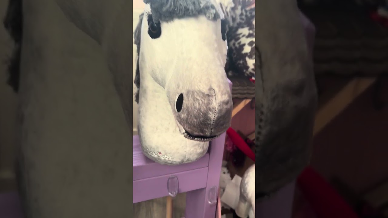 Grwm for a hobby horse ride 