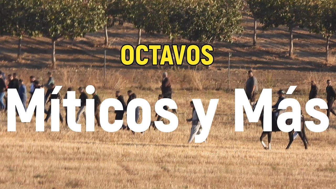 Fase de octavos Club Míticos y Más, Octubre 2025 en las Tramadas