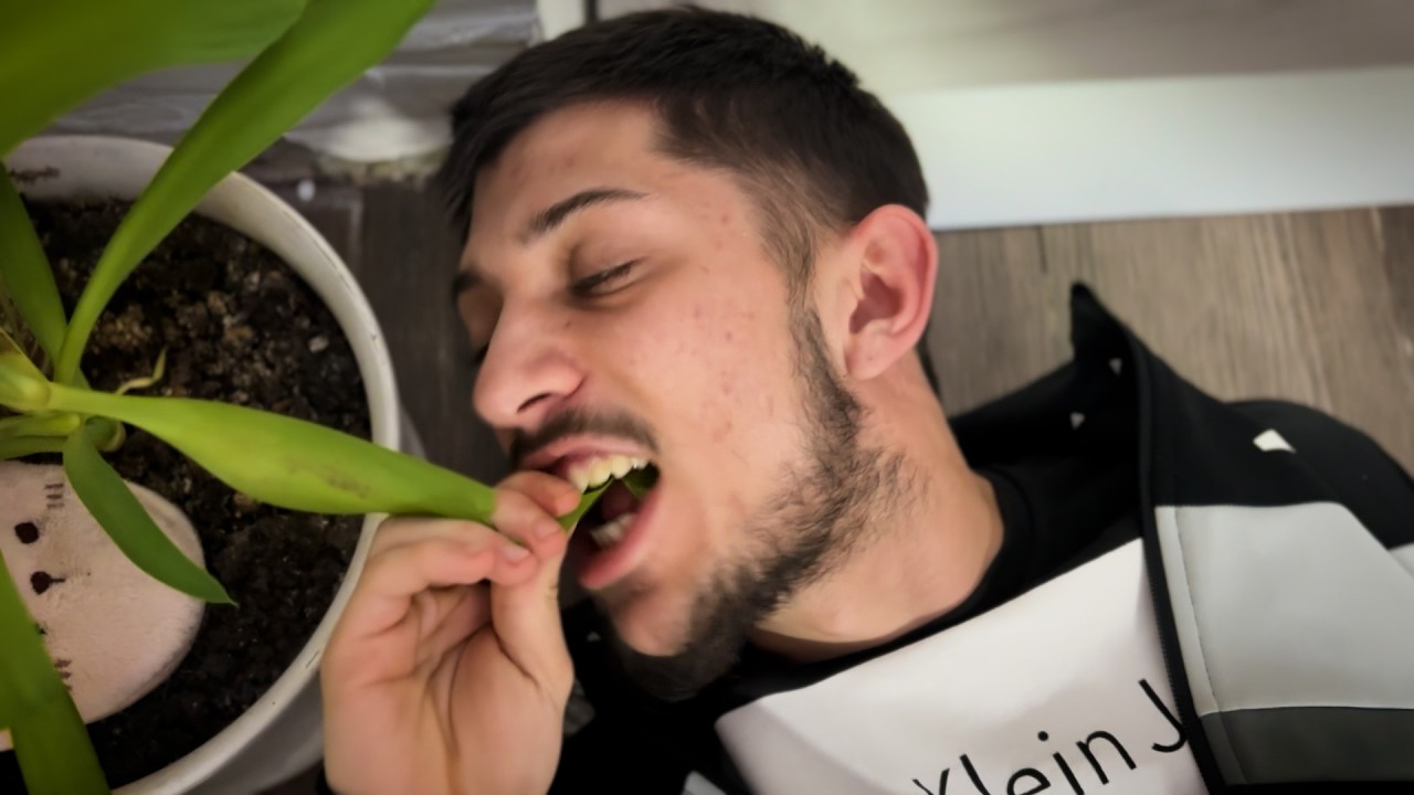 Rácz Family Show - 3. Évad (78. Rész)