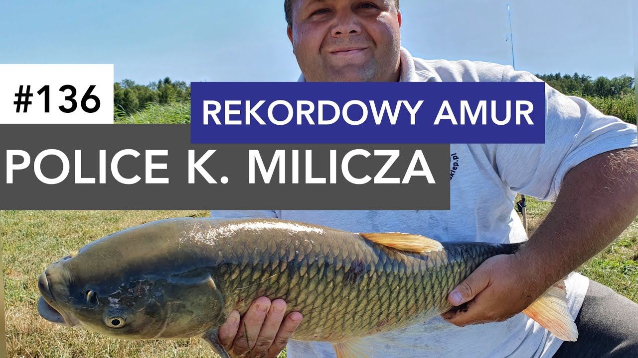 #136 Police k. Milicza - rekordowy amur 🌴