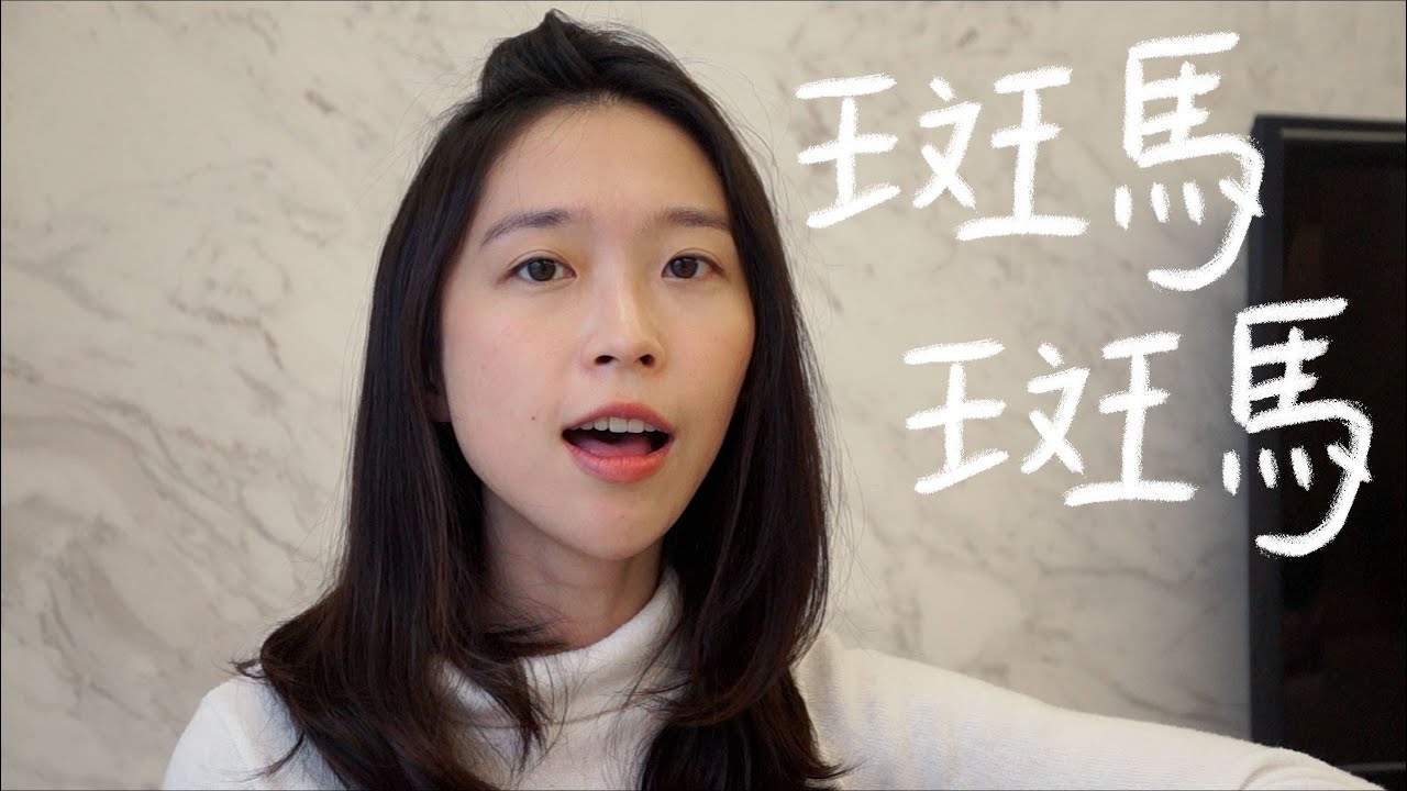 斑馬斑馬 - 宋冬野 (微微安 Vivian Kuo Cover)