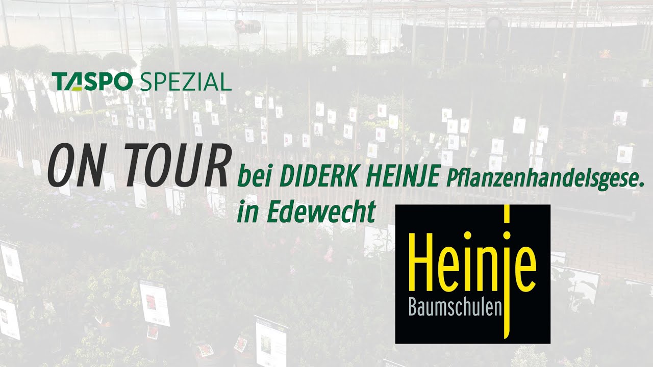TASPO Spezial on Tour in der Baumschule Heinje: Größte Baumschul-Sommermesse des Nordens 2024