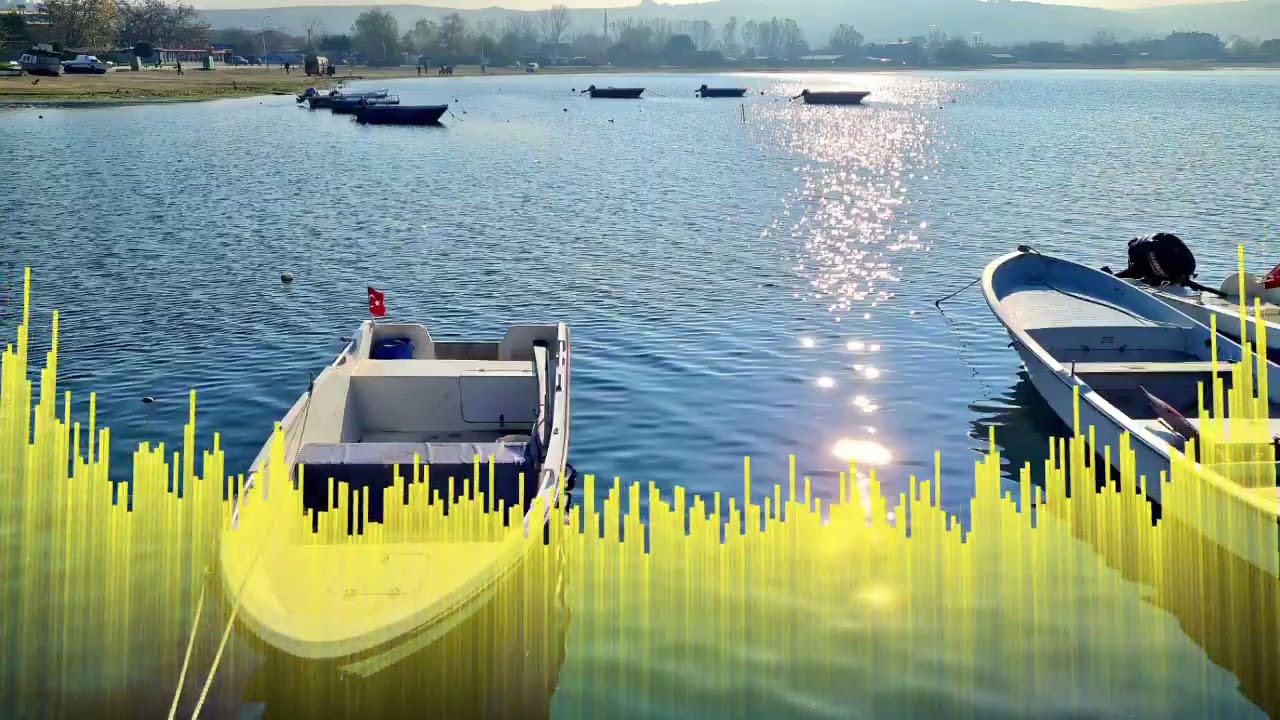 🎷Горчива отрица🪗