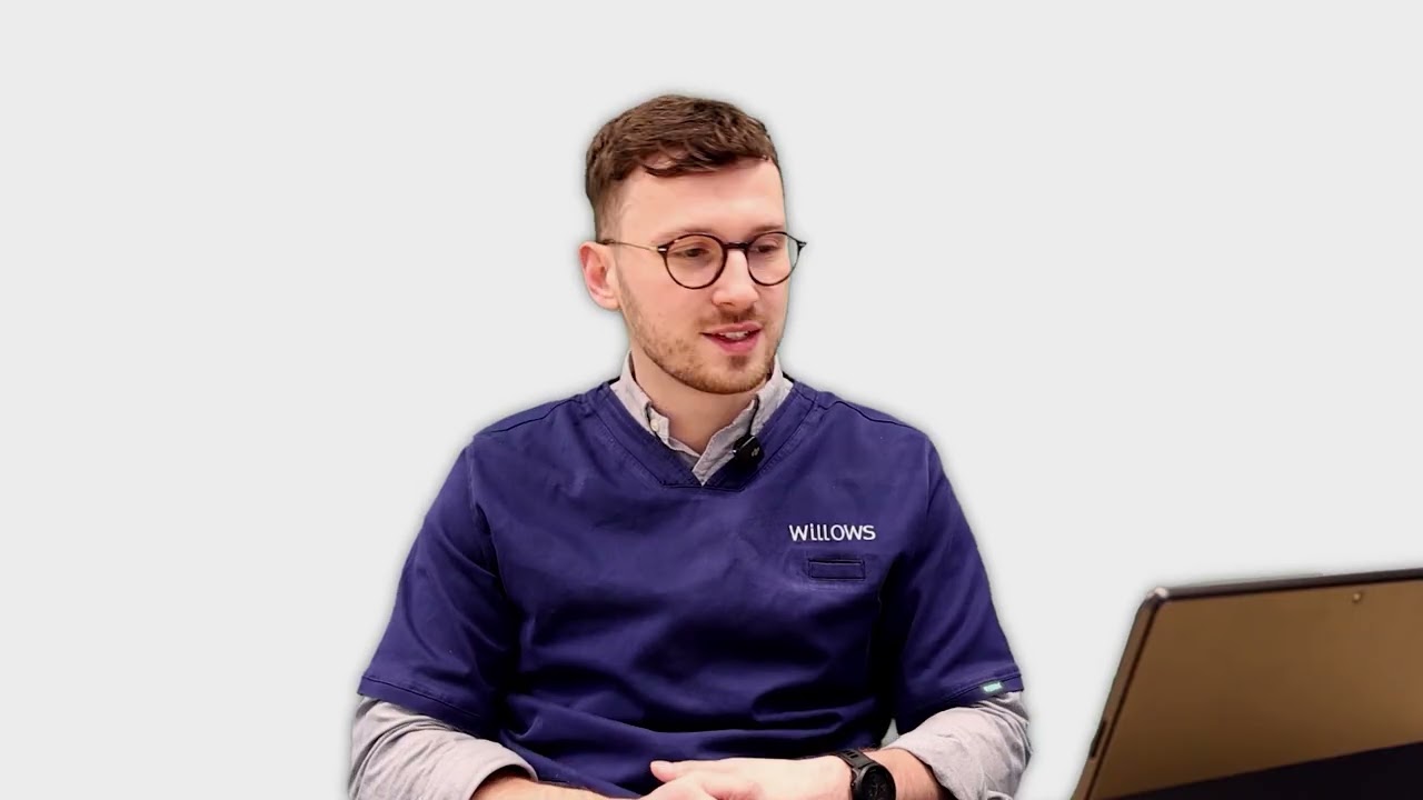 Veterinary Neurologist Answers Your Questions