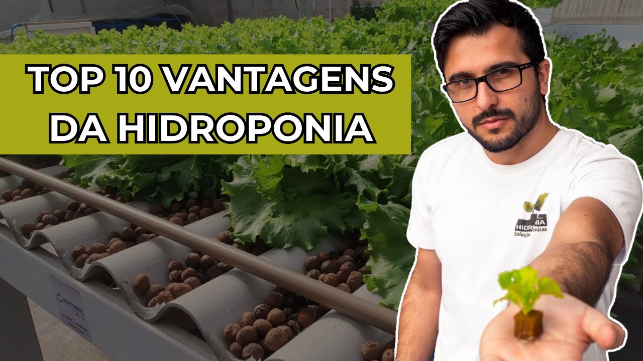 Quais as vantagens da Hidroponia? 🤔