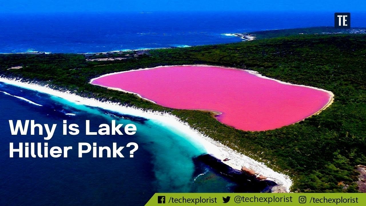 Why is Lake Hillier Pink?