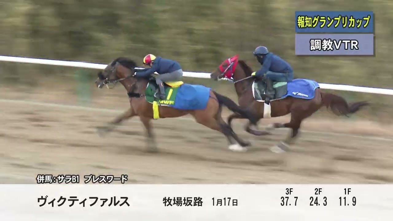 2026年報知グランプリカップ調教VTR
