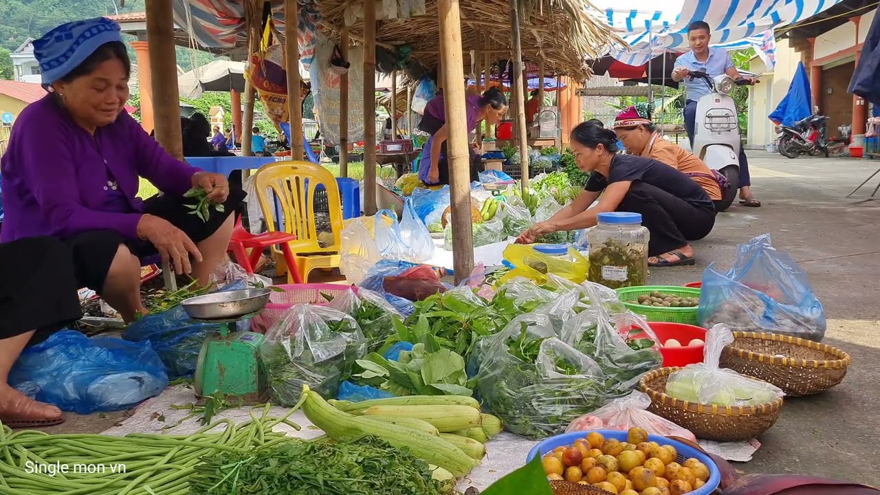 Harvesting Bamboo Shoots Goes to the market sell - Daily Life | Single Mom VN