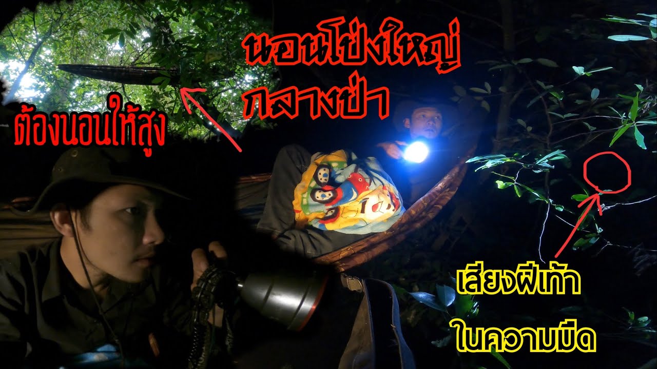 นอนที่สูงกลางป่าติดโป่งใหญ่ ตกดึกมีเสียงสัตว์เดินรอบๆโป่งทั้งคืน
