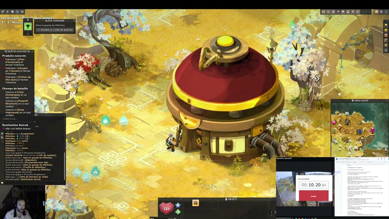 run lvl 1-15  agoraphobe  51succes 15min 1800kamas dofus 3 unity