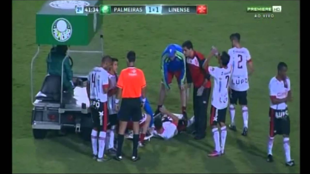Milton Leite narra briga entre quero-quero e mariposa durante jogo do Palmeiras.