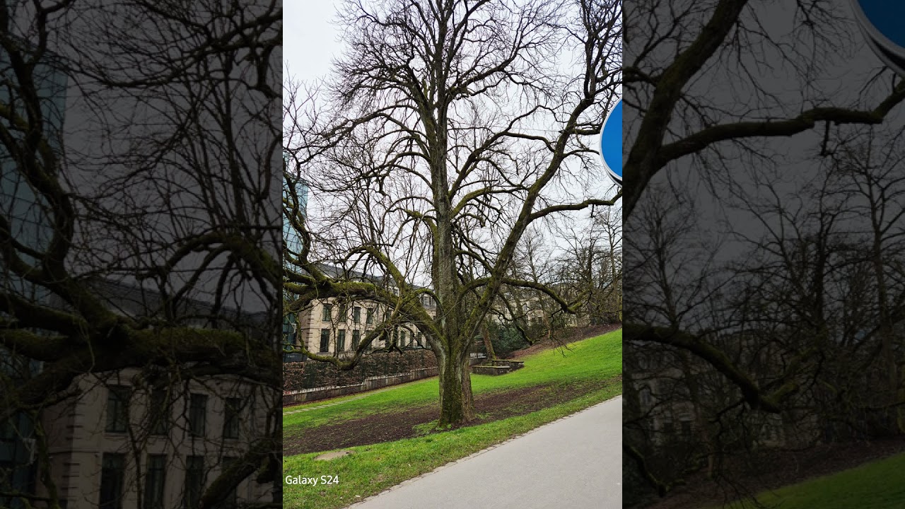 Luxembourg Photos2